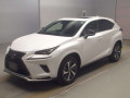 2020 Lexus NX