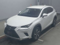2019 Lexus NX
