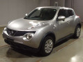 2011 Nissan JUKE