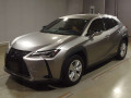 2020 Lexus UX