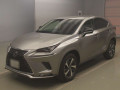2021 Lexus NX