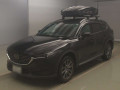 2019 Mazda CX-8
