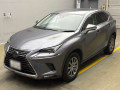 2019 Lexus NX