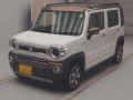 2024 Suzuki Hustler