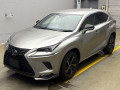 2020 Lexus NX