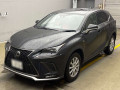 2021 Lexus NX