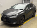 2020 Lexus NX