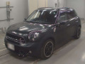 2015 Mini MINI