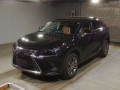 2019 Lexus NX