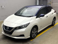 2020 Nissan Leaf