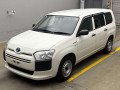 2020 Toyota Probox