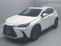 2022 Lexus NX