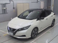 2019 Nissan Leaf