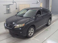 2009 Lexus RX