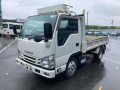 2020 Isuzu Elf Truck