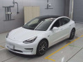 2020 Others MODEL 3