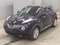 2012 Nissan JUKE