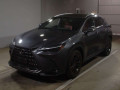 2022 Lexus NX
