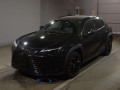 2021 Lexus UX
