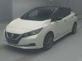 2021 Nissan Leaf