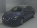 2021 Nissan Leaf
