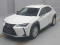 2021 Lexus UX