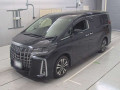2021 Toyota Alphard