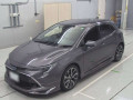 2021 Toyota Corolla Sports