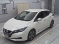 2018 Nissan Leaf