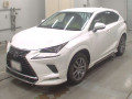 2019 Lexus NX