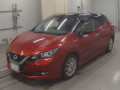 2019 Nissan Leaf