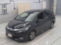 2017 Honda SHUTTLE