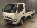 2021 Toyota Dyna Truck