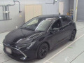 2020 Toyota Corolla Sports