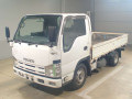 2009 Isuzu Elf Truck