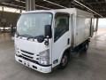 2017 Isuzu Elf Truck