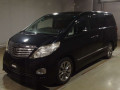 2011 Toyota Alphard