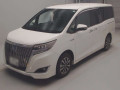 2019 Toyota Esquire