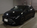 2021 Toyota Corolla Sports