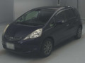 2010 Honda Fit