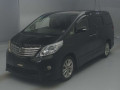 2009 Toyota Alphard