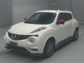 2013 Nissan JUKE
