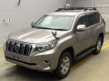 2020 Toyota Land Cruiser Prado
