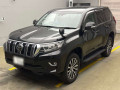 2019 Toyota Land Cruiser Prado