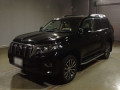 2019 Toyota Land Cruiser Prado