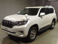 2019 Toyota Land Cruiser Prado