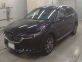 2019 Mazda CX-8