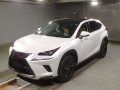 2020 Lexus NX