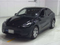 2022 Others MODEL Y