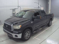 2010 Others Tundra